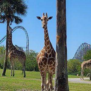 Meet your Posher, Debra